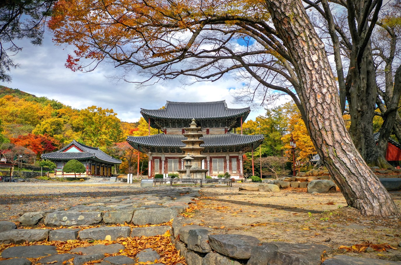 만수산 무량사 - 천년고찰의 고즈넉함 자연 속에서 만나는 평온함