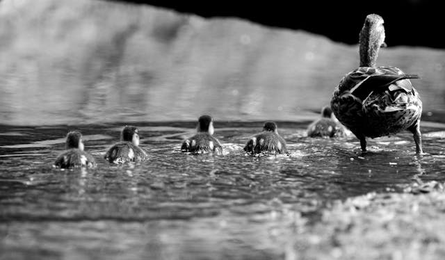 육아휴직 중 주의사항 및 부정수급 기준