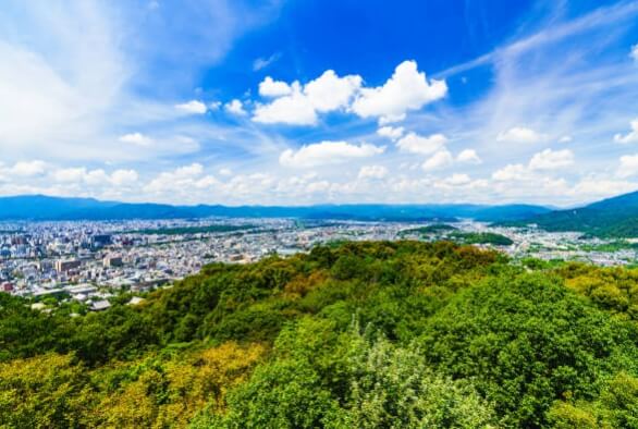 오대산 국립공원 실시간 cctv