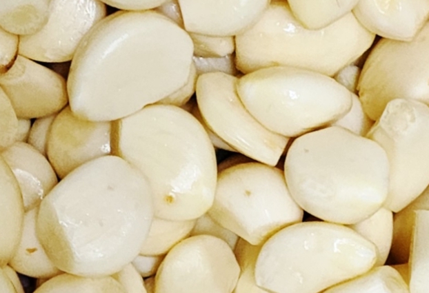 위축성 위염에 좋은 마늘 사진입니다.