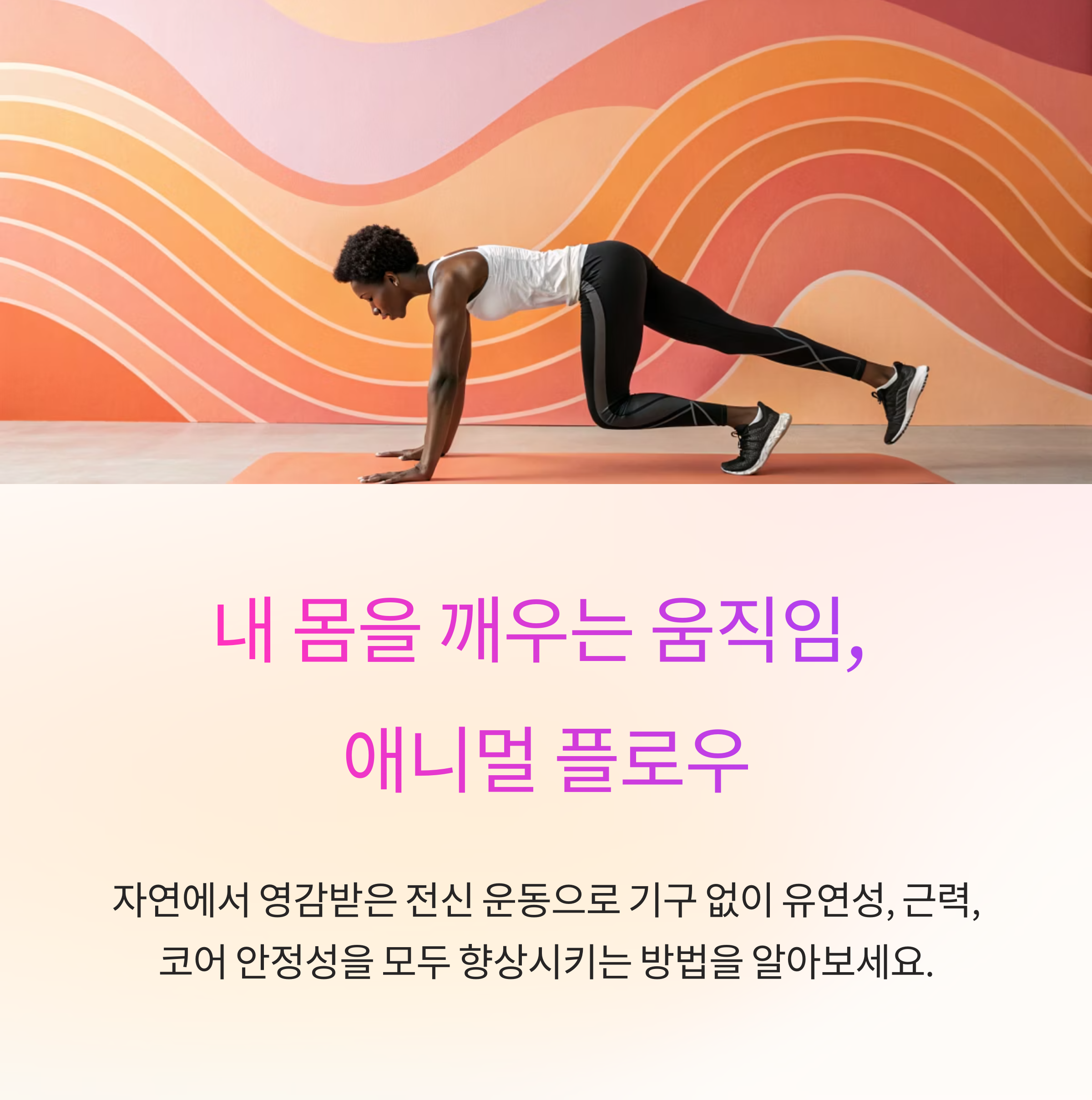 내 몸을 깨우는 움직임, 애니멀 플로우 루틴의 매력