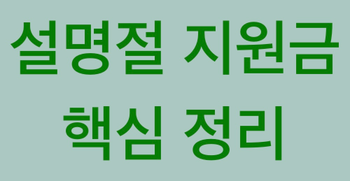 25년 설명절 지원금 핵심정리