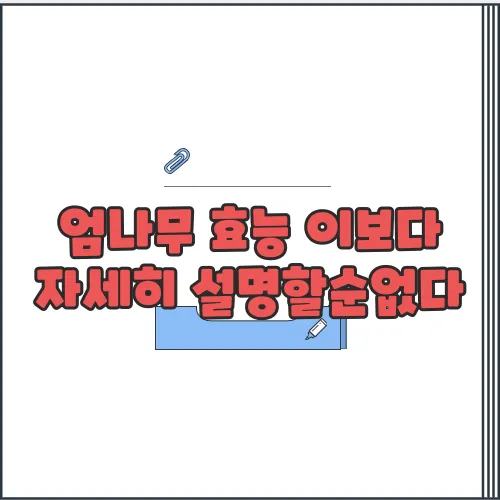 엄나무 효능 이보다 자세히 설명할순없다