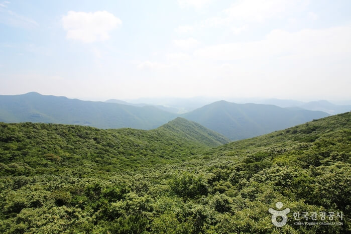 두륜산 (사진출처:대한민국구석구석)