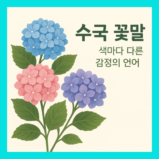 수국 꽃말 [+보라, 핑크(분홍), 파란, 흰]