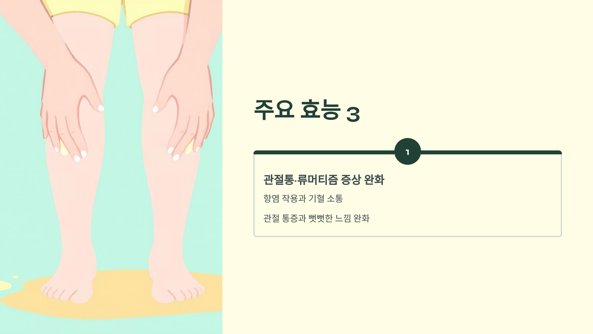 홍화씨 사진입니다.