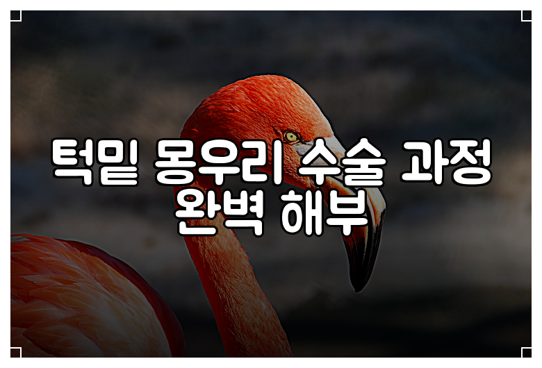 턱밑 몽우리 수술 과정 완벽 해부