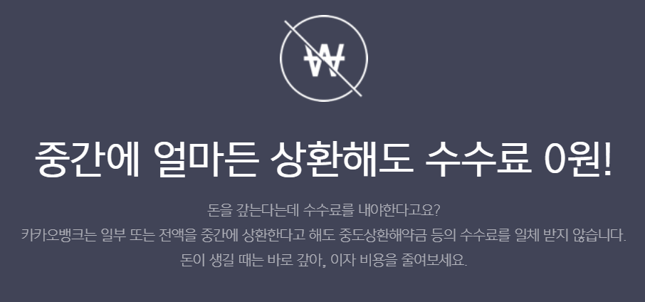 카카오뱅크 중신용대출