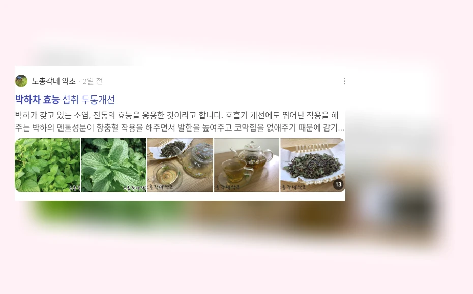 박하차 효능_3_subsection