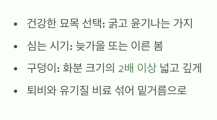 묘목 심기, 첫 단추를 잘 꿰는 법