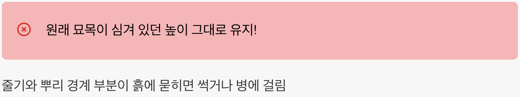 가장 중요한 순간, 심는 깊이