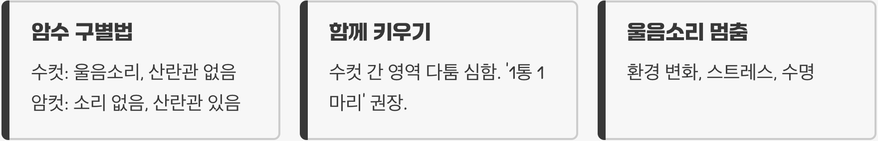 초보 집사 필독! 가을의 소리 방울벌레 키우기 A to Z (먹이, 사육통, 울음소리 완벽 가이드)