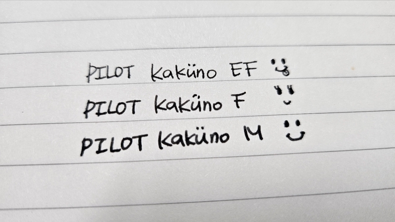 파이롯트 카쿠노16