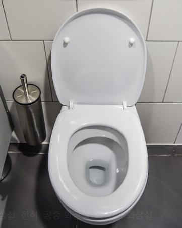 신장이 안좋으면 나타나는 증상 14