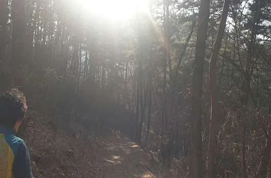 증산성