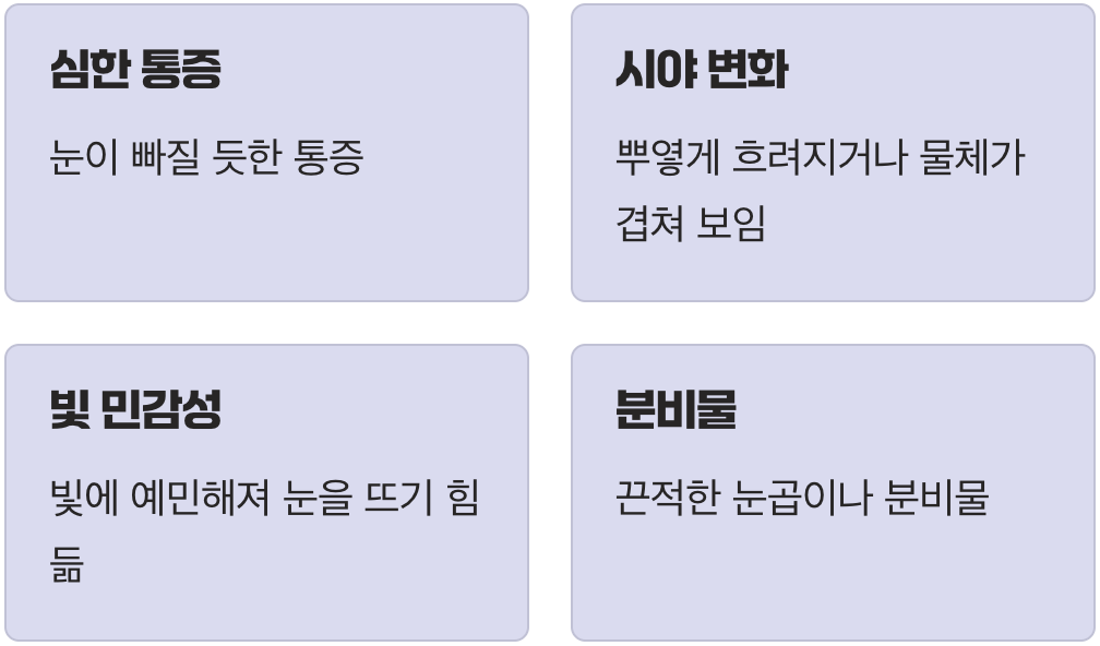 이것이 단순 충혈이 아닐 때 (위험 신호)