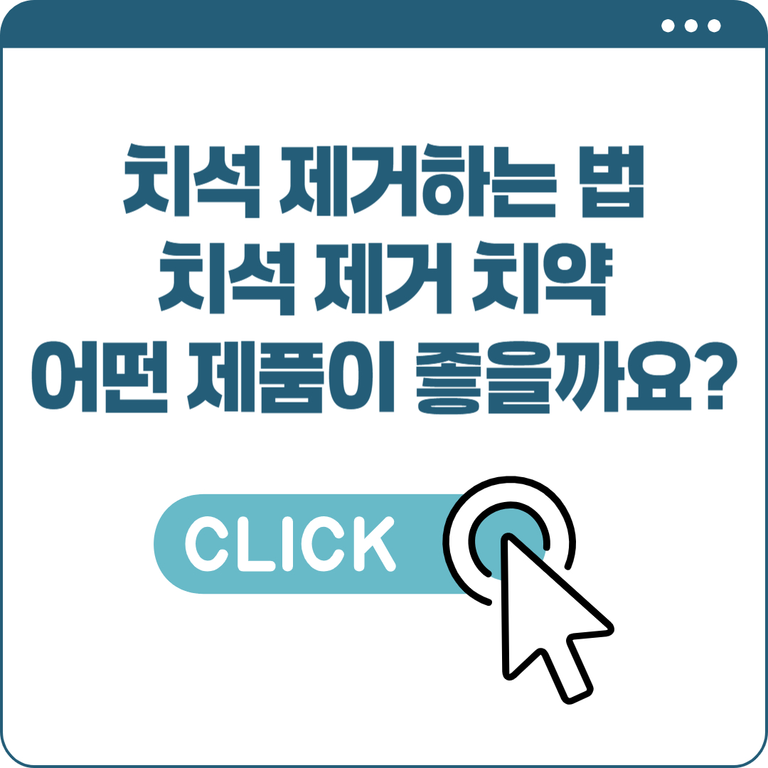 치석 제거하는 법