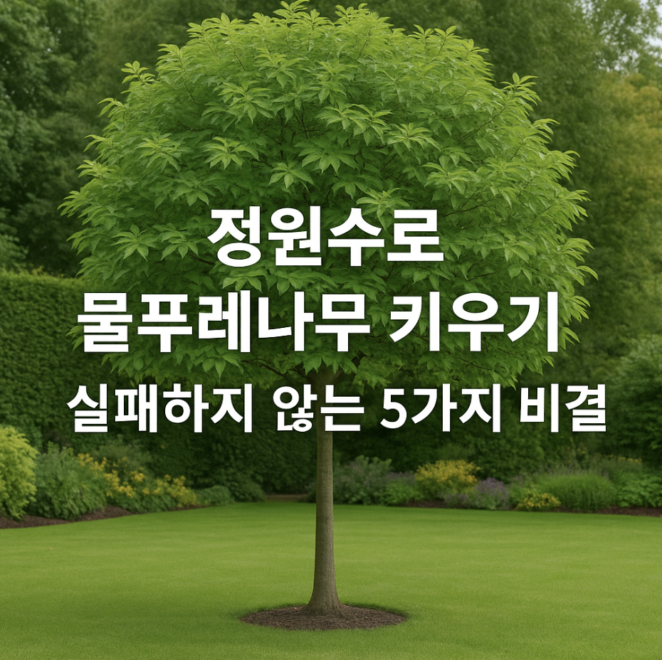 정원수로 물푸레나무 키우기, 실패하지 않는 5가지 비결