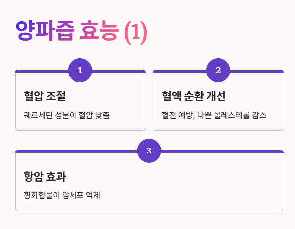 양파즙 효능 1