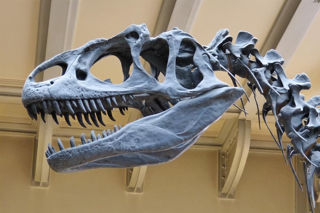 영화 쥬라기 공원의 카오스 이론 해석