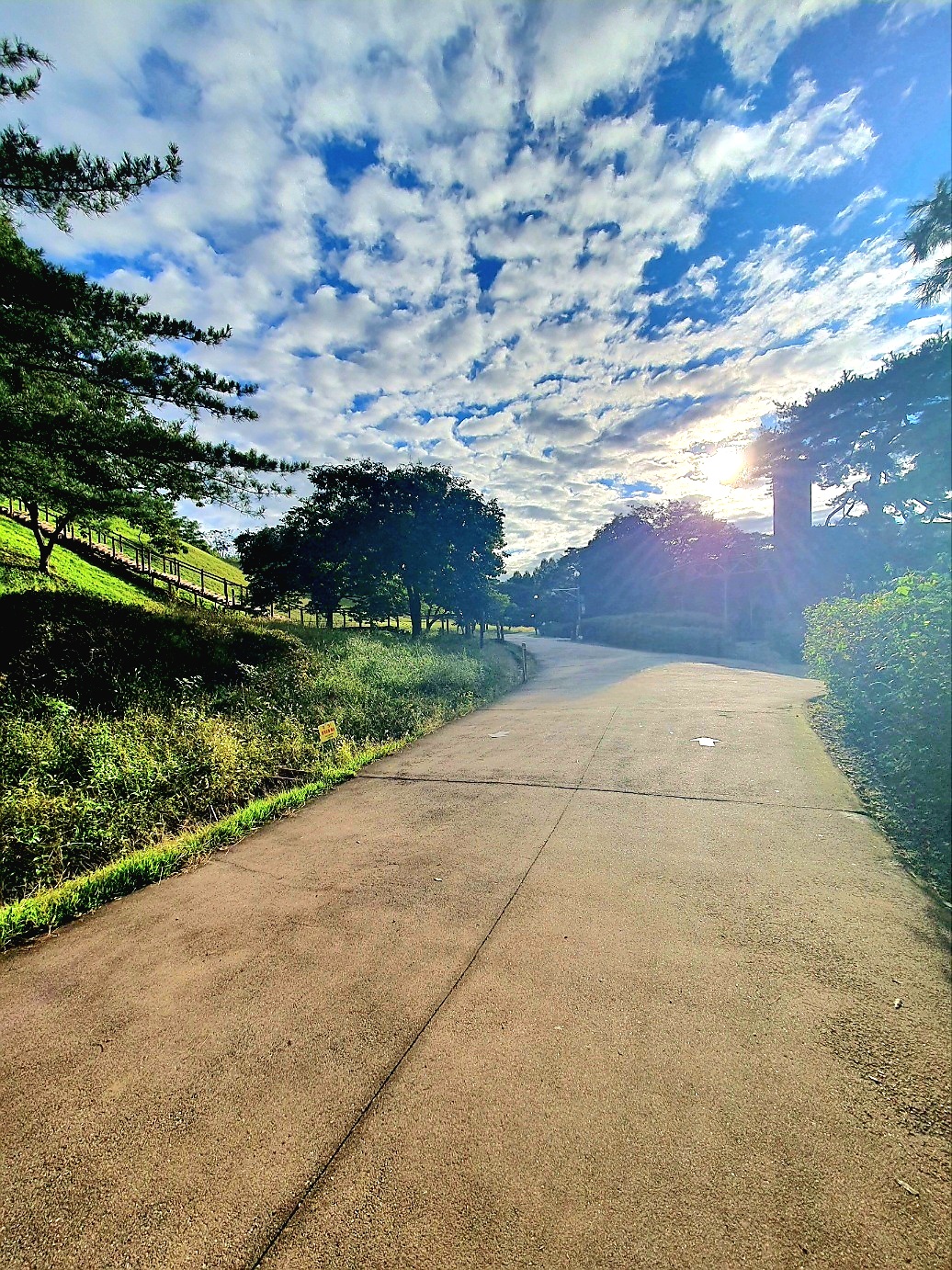 햇살이-좋은-날에-방문했습니다.