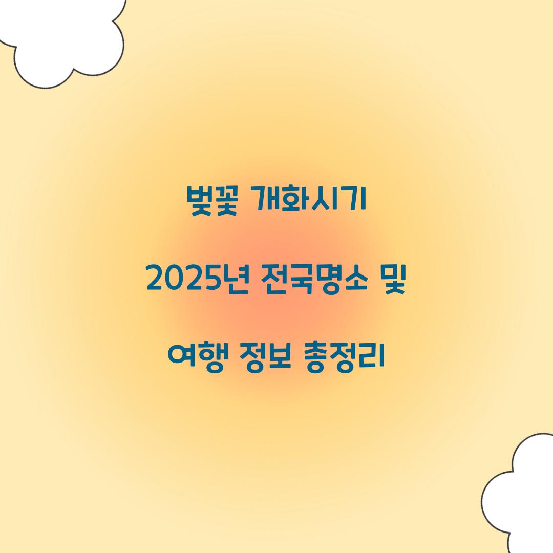 벚꽃 개화시기 2025년 전국