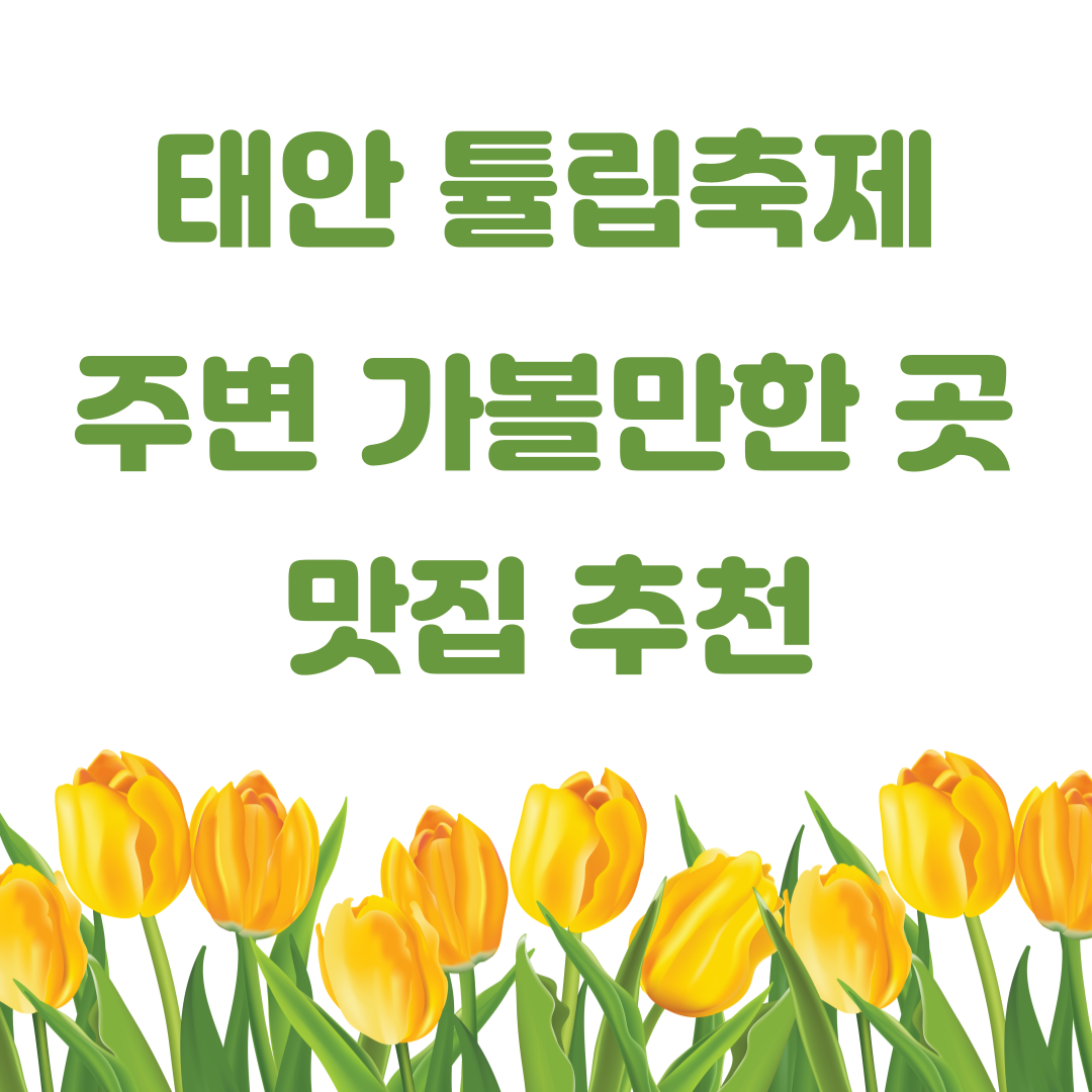 태안 튤립축제