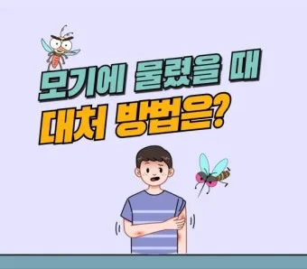 모기 박사님 추천 모기 퇴치법과 여름철 모기 없는 집 만들기 실전 전략_15