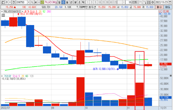 카나리아바이오 주봉 차트