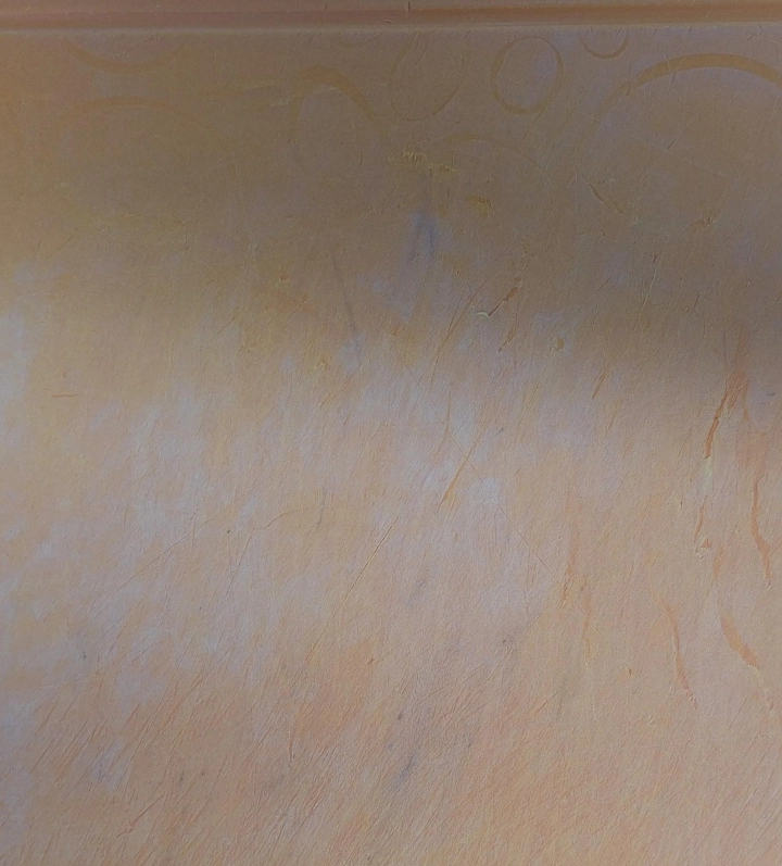 플라스틱-도마-곰팡이-확대사진