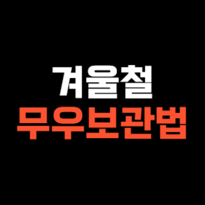 겨울철 무우보관법