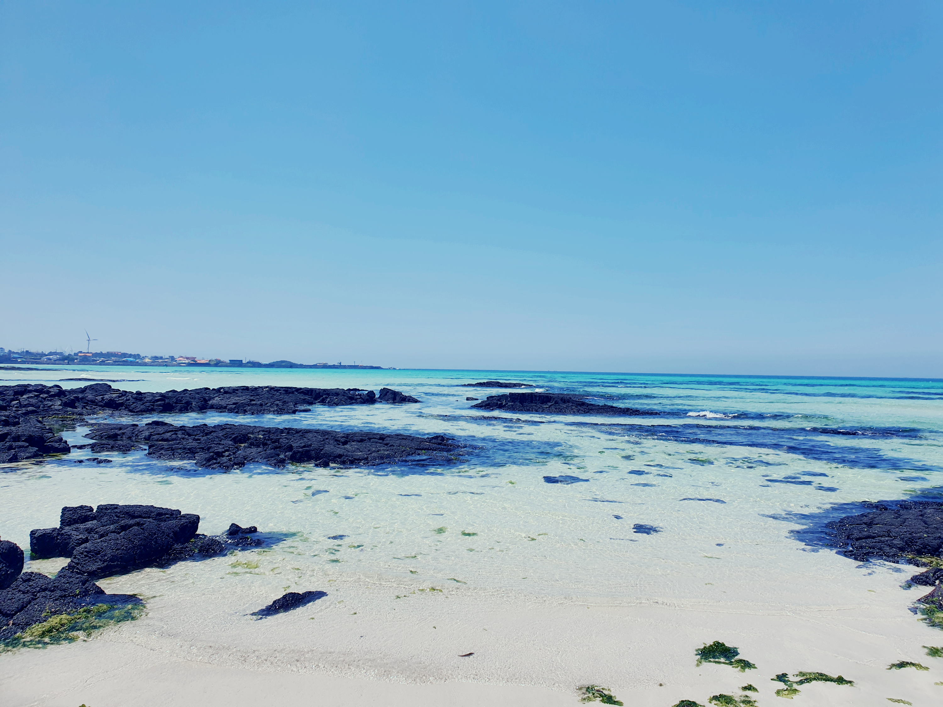 제주도의 아름다운 해변들 자연 속 여행의 매력