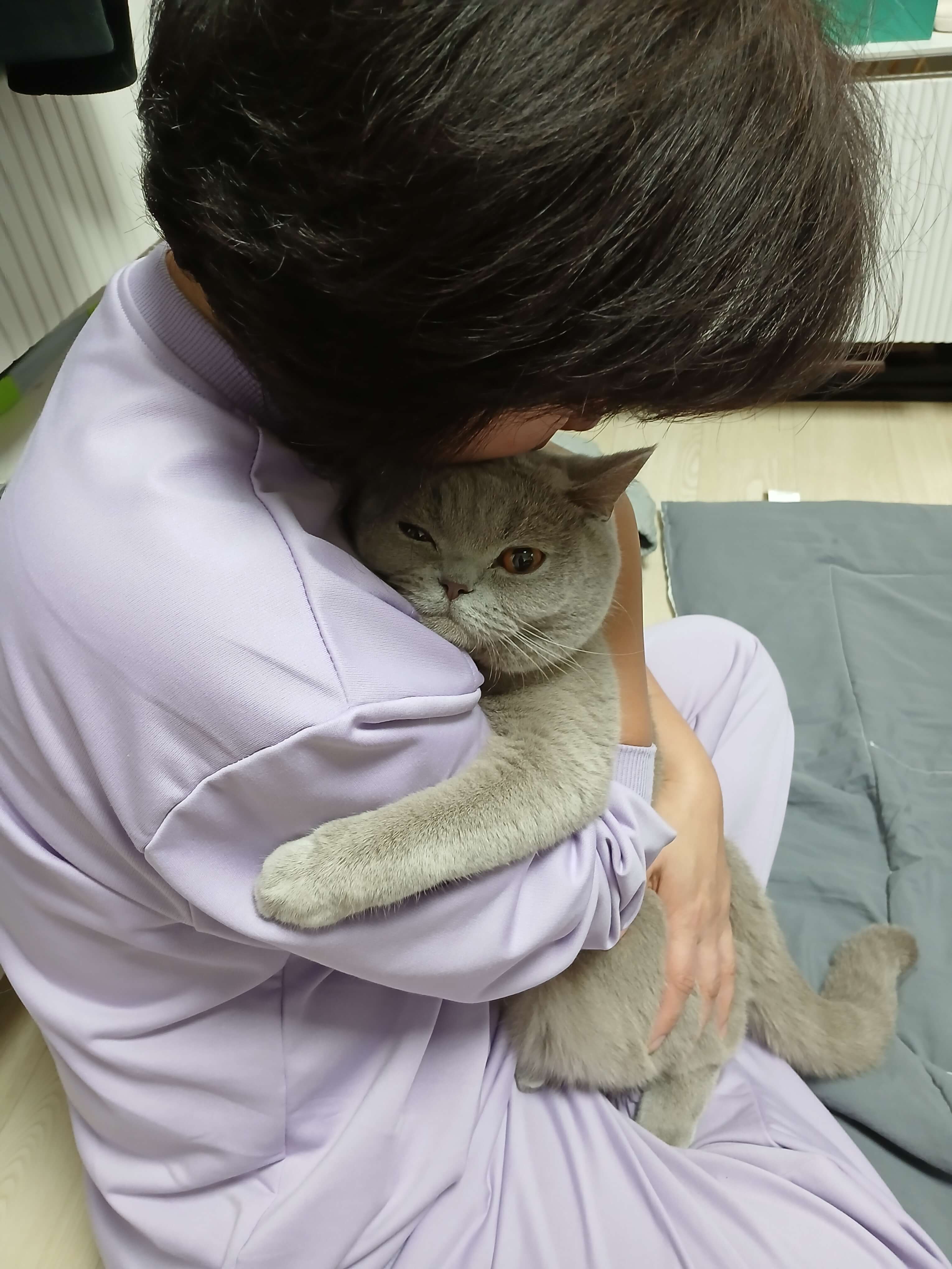 귀 청소 하기 전 안아줘요.