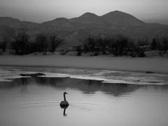 운명과 변화에 대한 사자성어들 삶의 흐름을 이해하는 자료집_15
