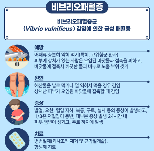 장마뒤 집중호우로 인한 수인성감염병 예방법과 치료방법