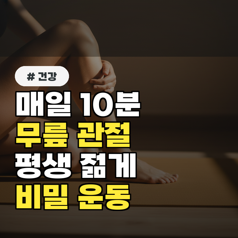 매일 10분, 무릎 관절 평생 젊게 유지하는 비밀 운동법