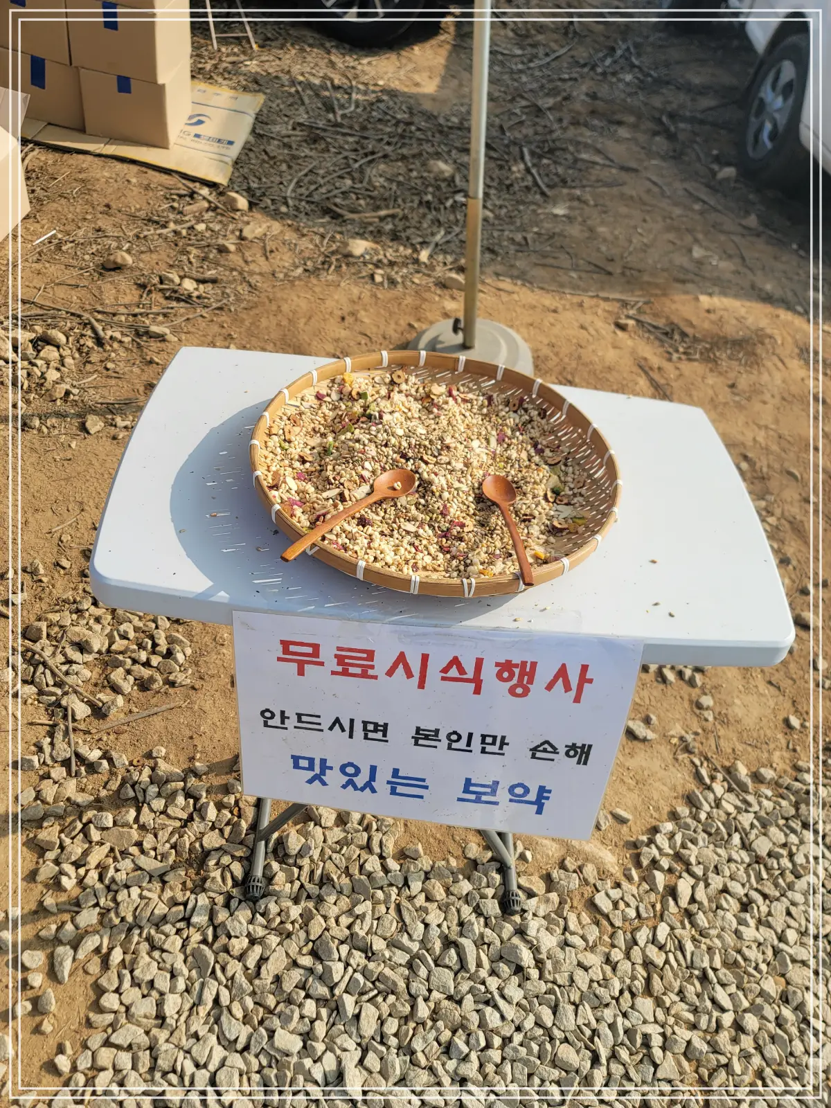 반계리-은행나무-무료시식