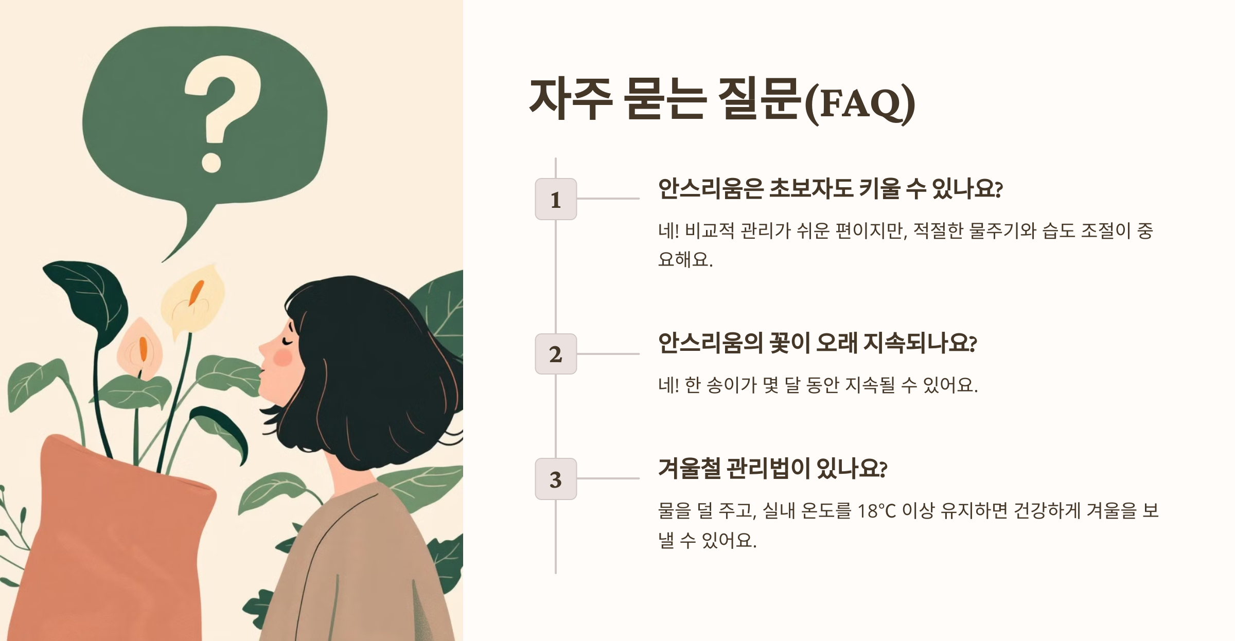 아스리움 꽃 사진