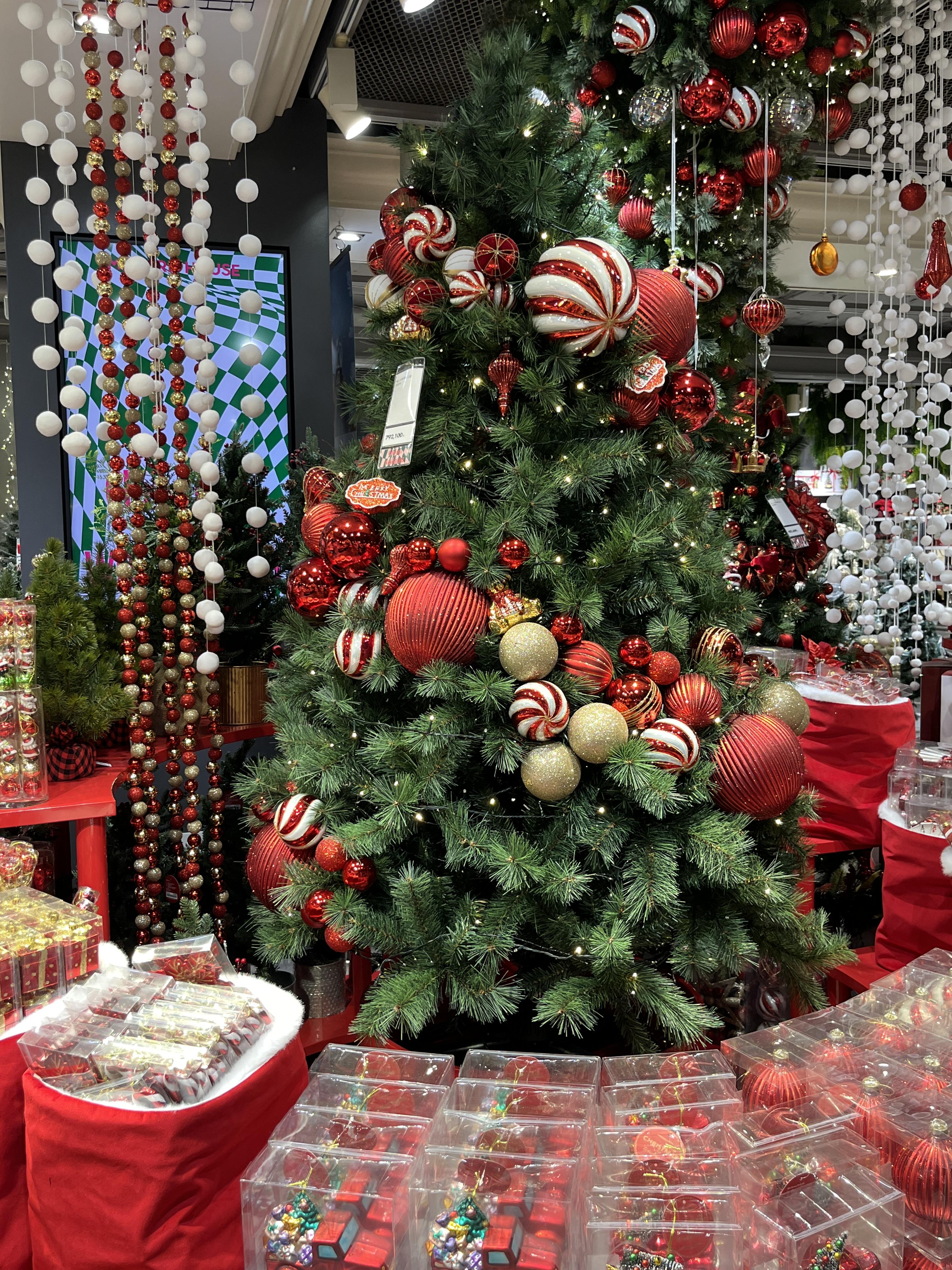 모던하우스 크리스마스