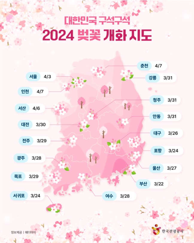 2024 벚꽃 개화시기, 인기 명소, 벚꽃지도