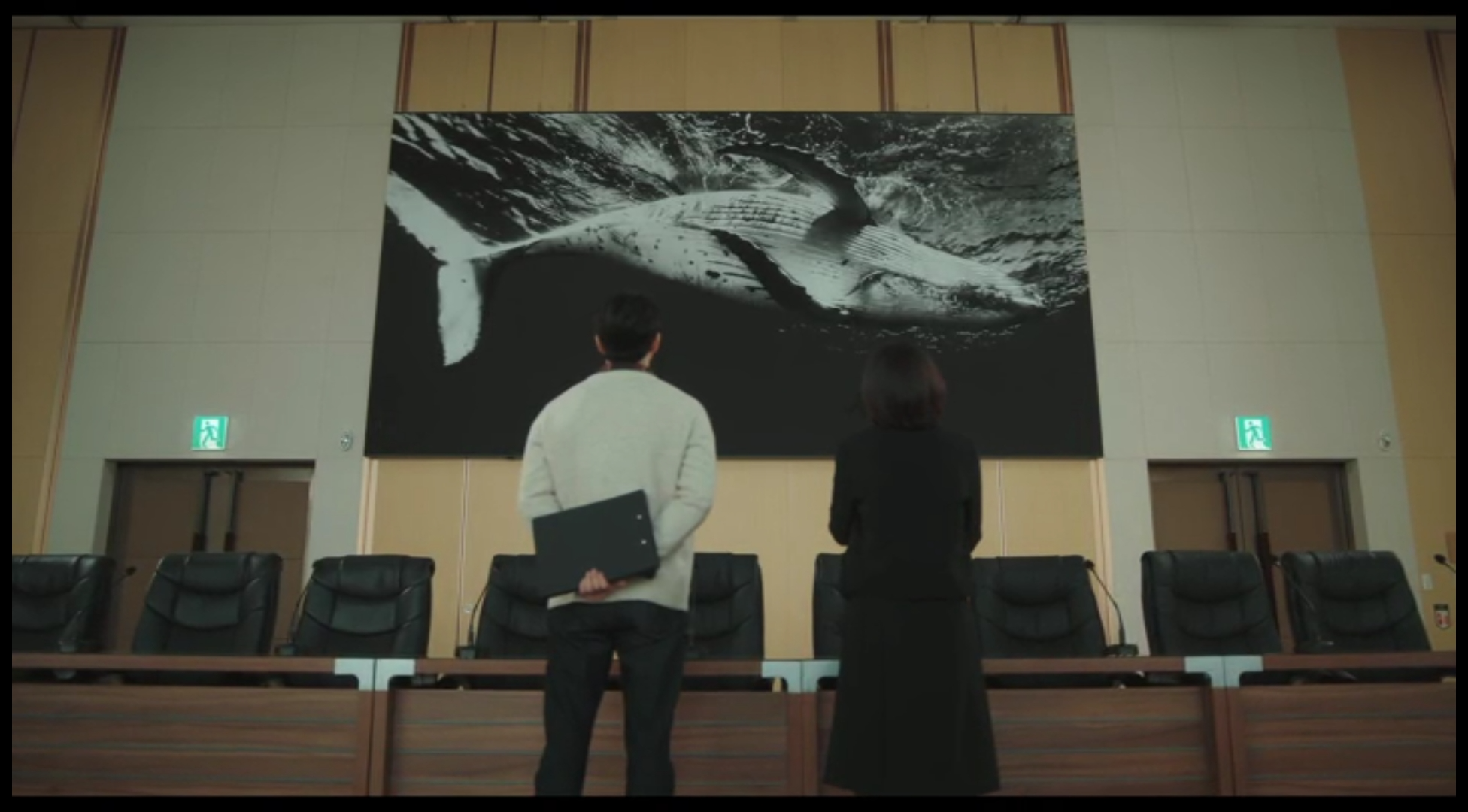 이상한 변호사 우영우 드라마 촬영지 (팽나무, 웨딩, 낙조, 제주도) 제주 돌고래 출몰지역 스팟