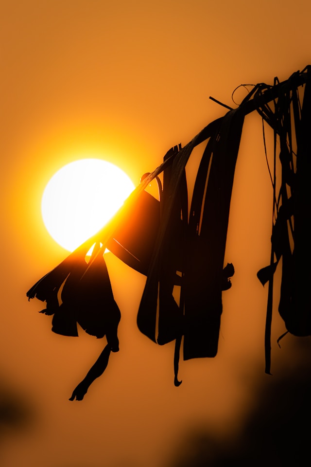 강릉 안반데기 차박: 별 구경 일출 명소