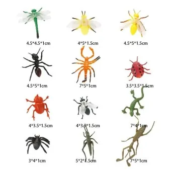 곤충과 동물의 차이점 생물 분류 기준과 이해 돕기_8