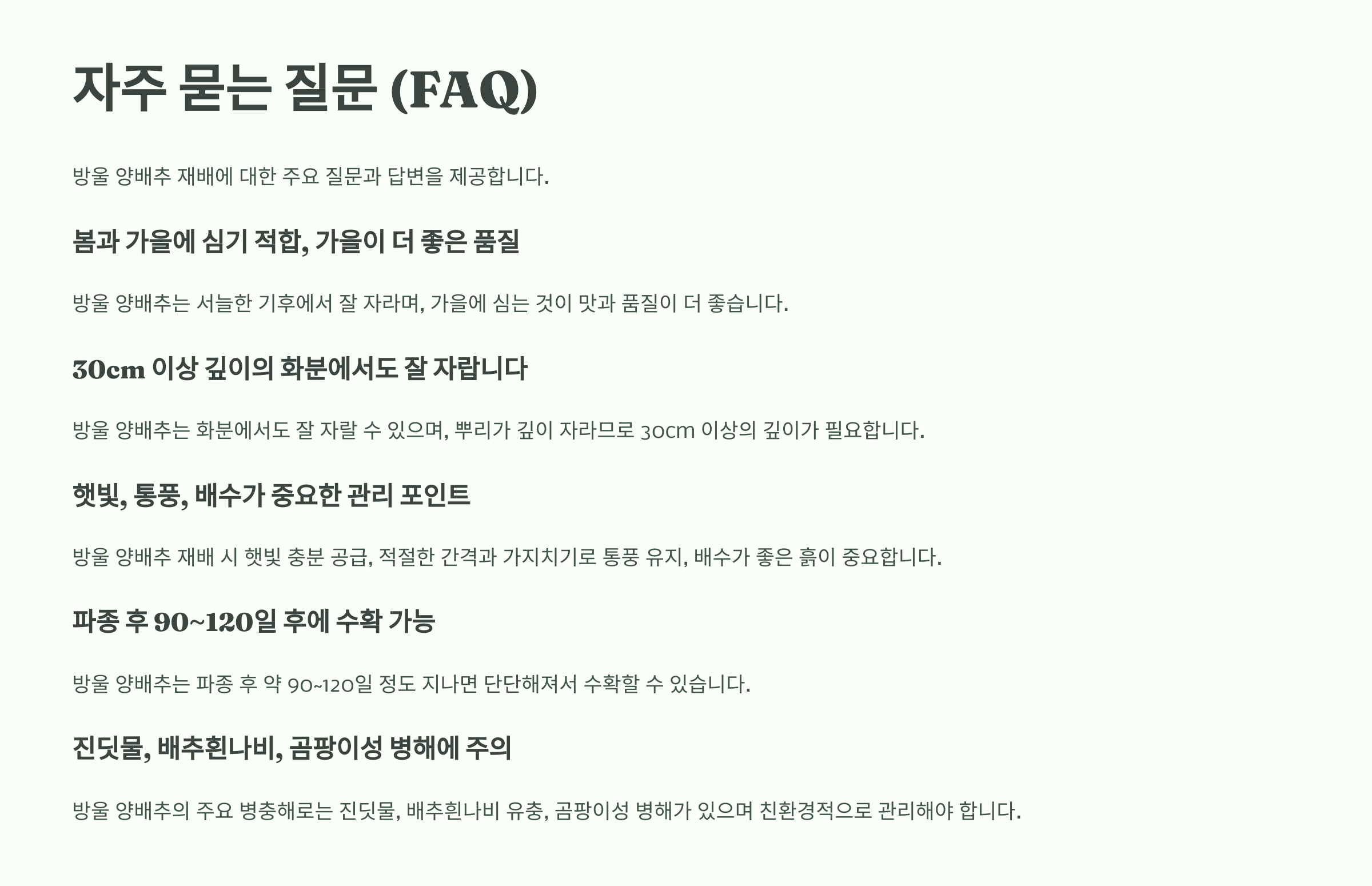 방울양배추 사진입니다.