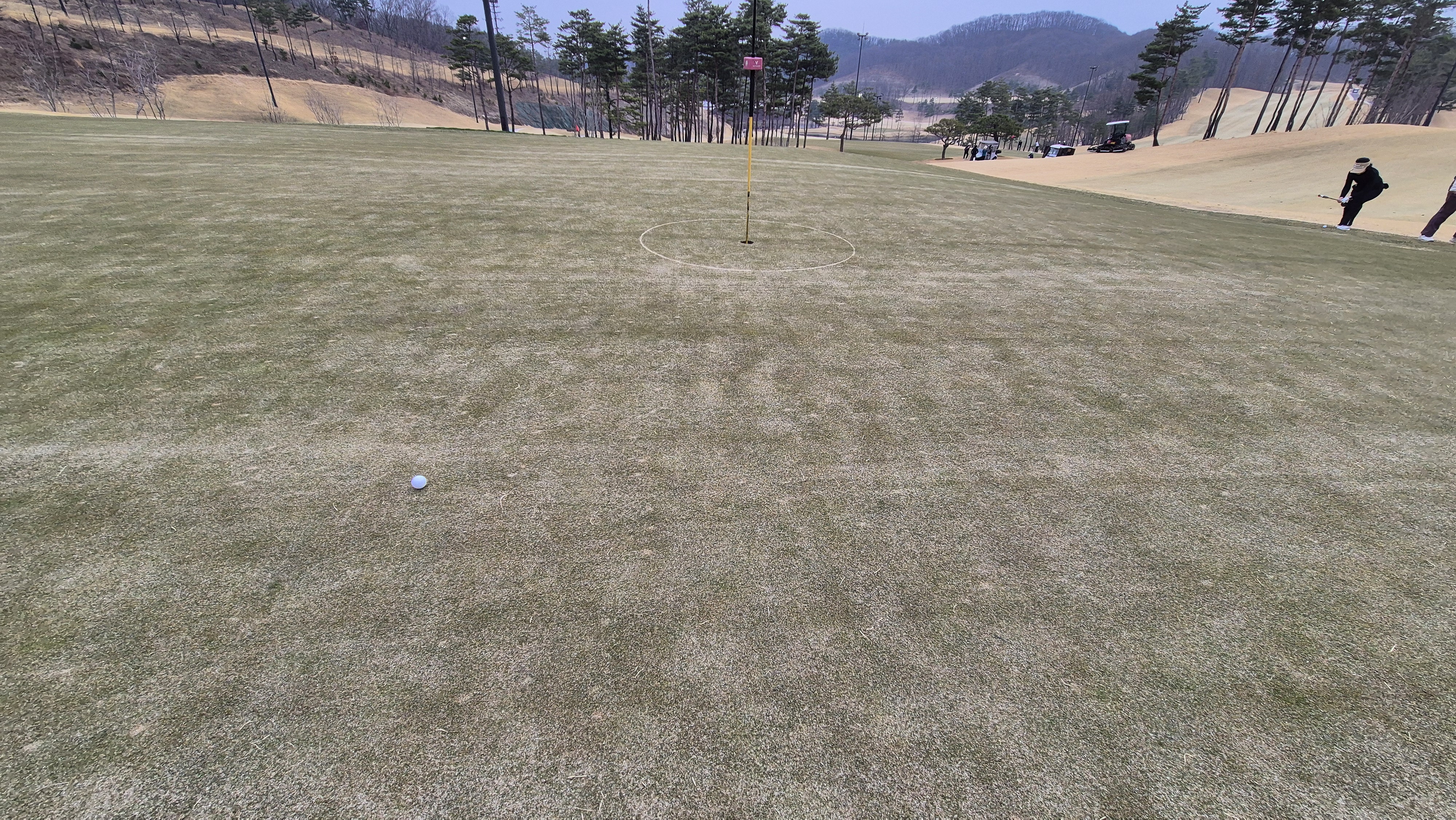 세현cc 그린 관리 상태