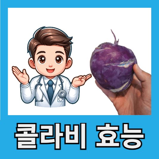 콜라비 효능
