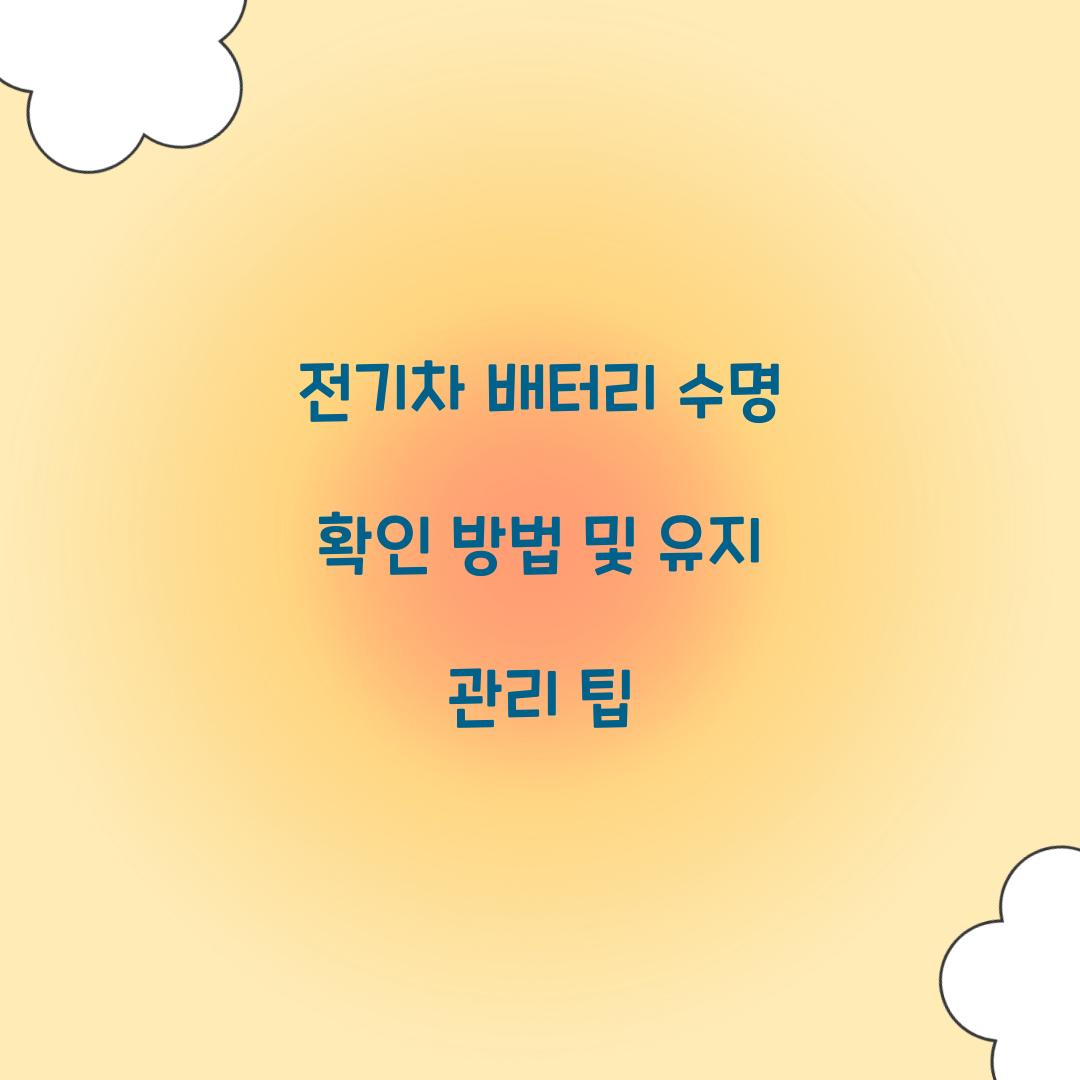 전기차 배터리 수명 확인