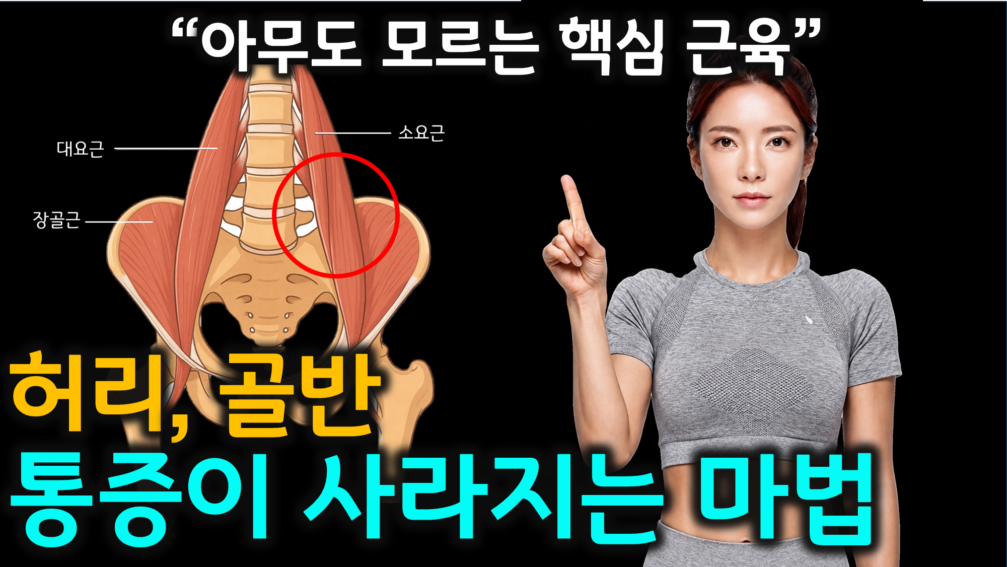 장요근 (허리 통증, 재활 운동, 골반 정렬)