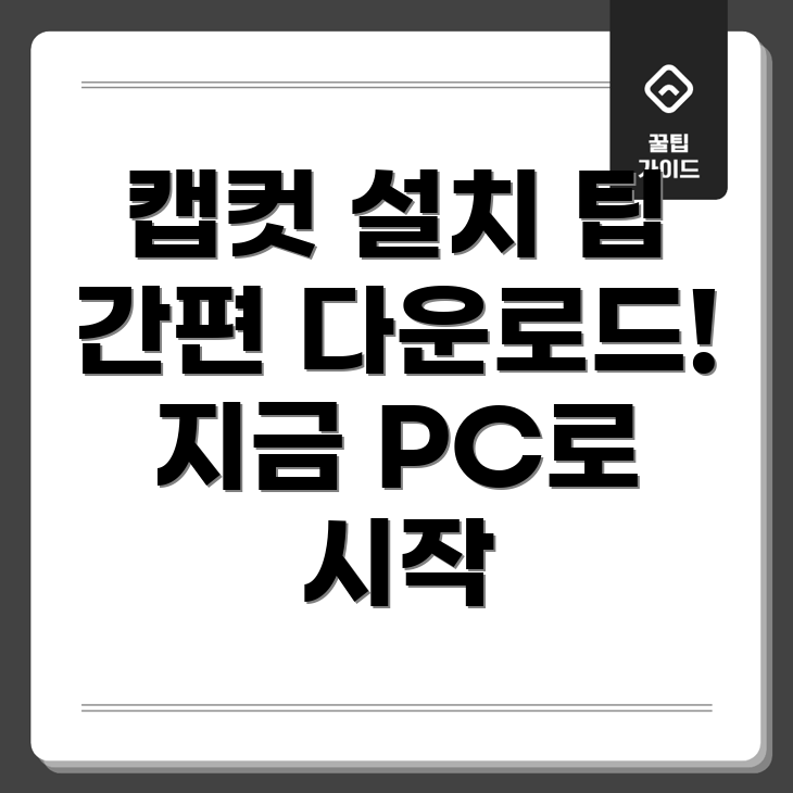 캡컷 PC 버전