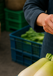 무생채 맛있게 하는법